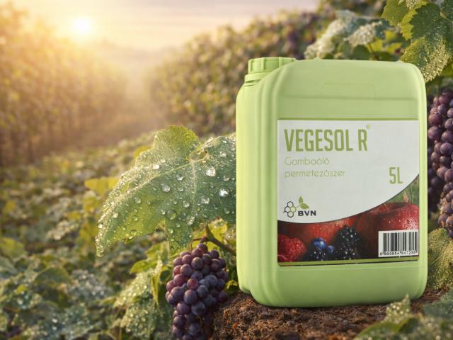 Vegesol<sup>®</sup> R