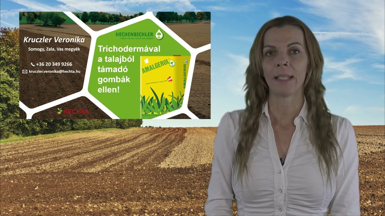 Trichoderma a talajból fertőző kórokozók ellen