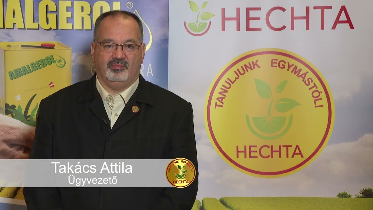 Tanuljunk egymástól program