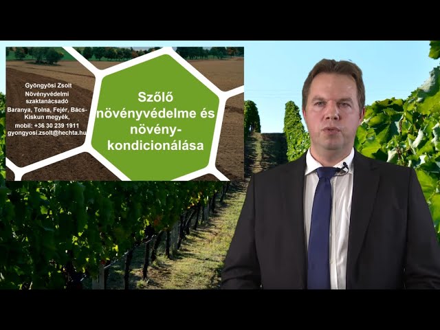 Vegesol R - a ragadós réz szőlőben.