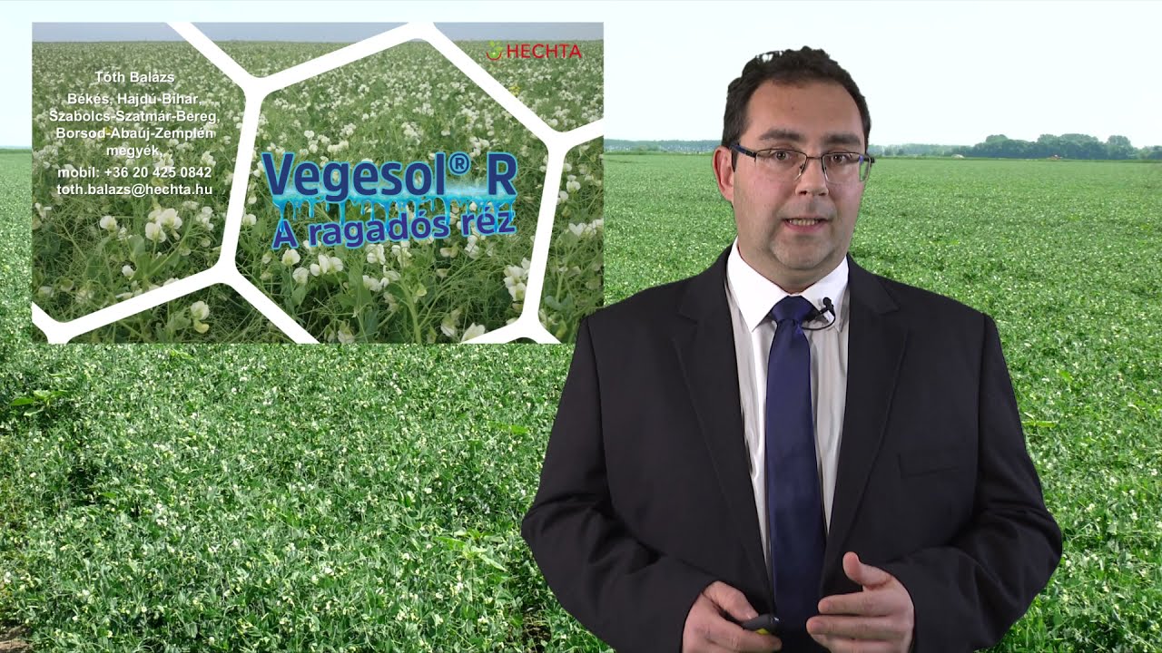 Vegesol R alkalmazása zöldborsóban.